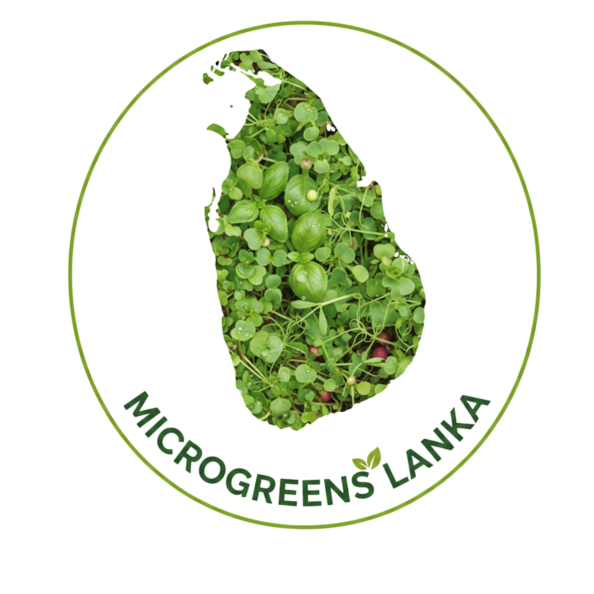 Microgreens Lanka Logo