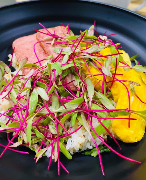 Harvesting fresh organic microgreens for delivery