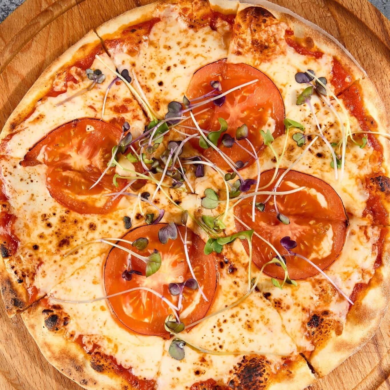Trays of healthy organic microgreens in a controlled environment
