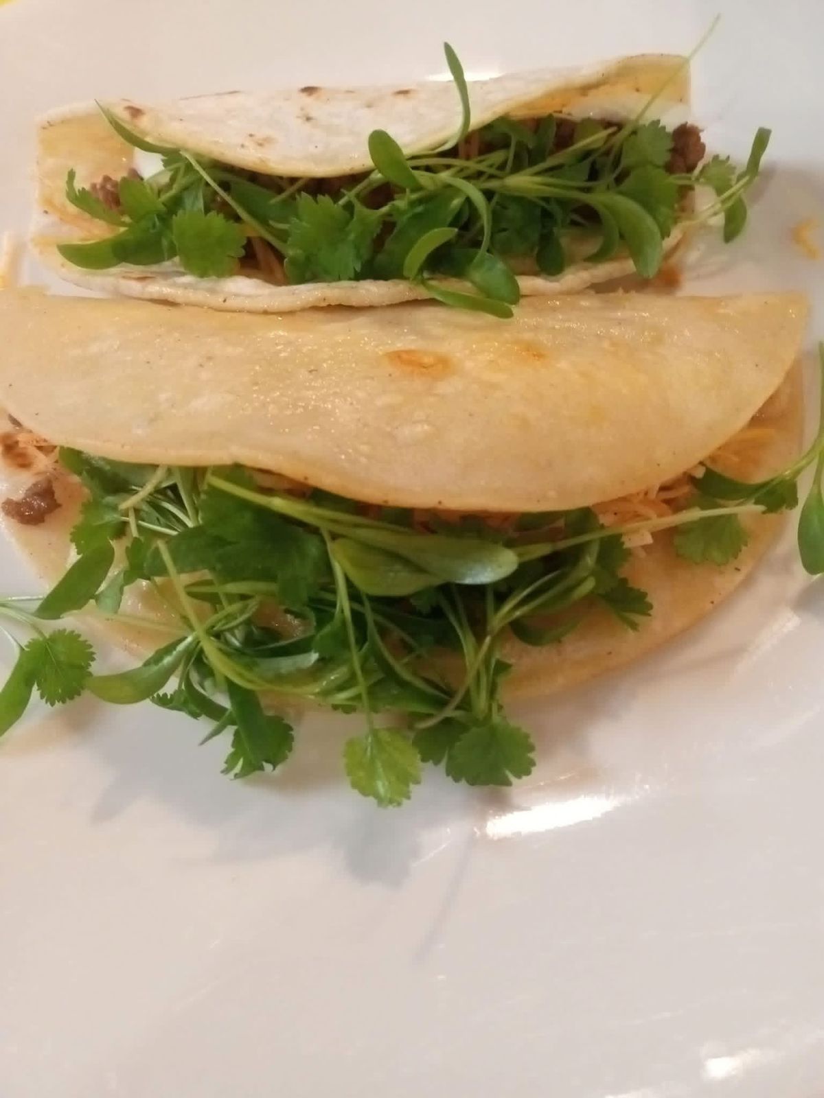 Overview of our sustainable vertical farming facility in Sri Lanka